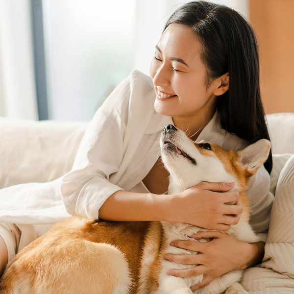 We've Built Our Reputation on Making Your Home Clean.