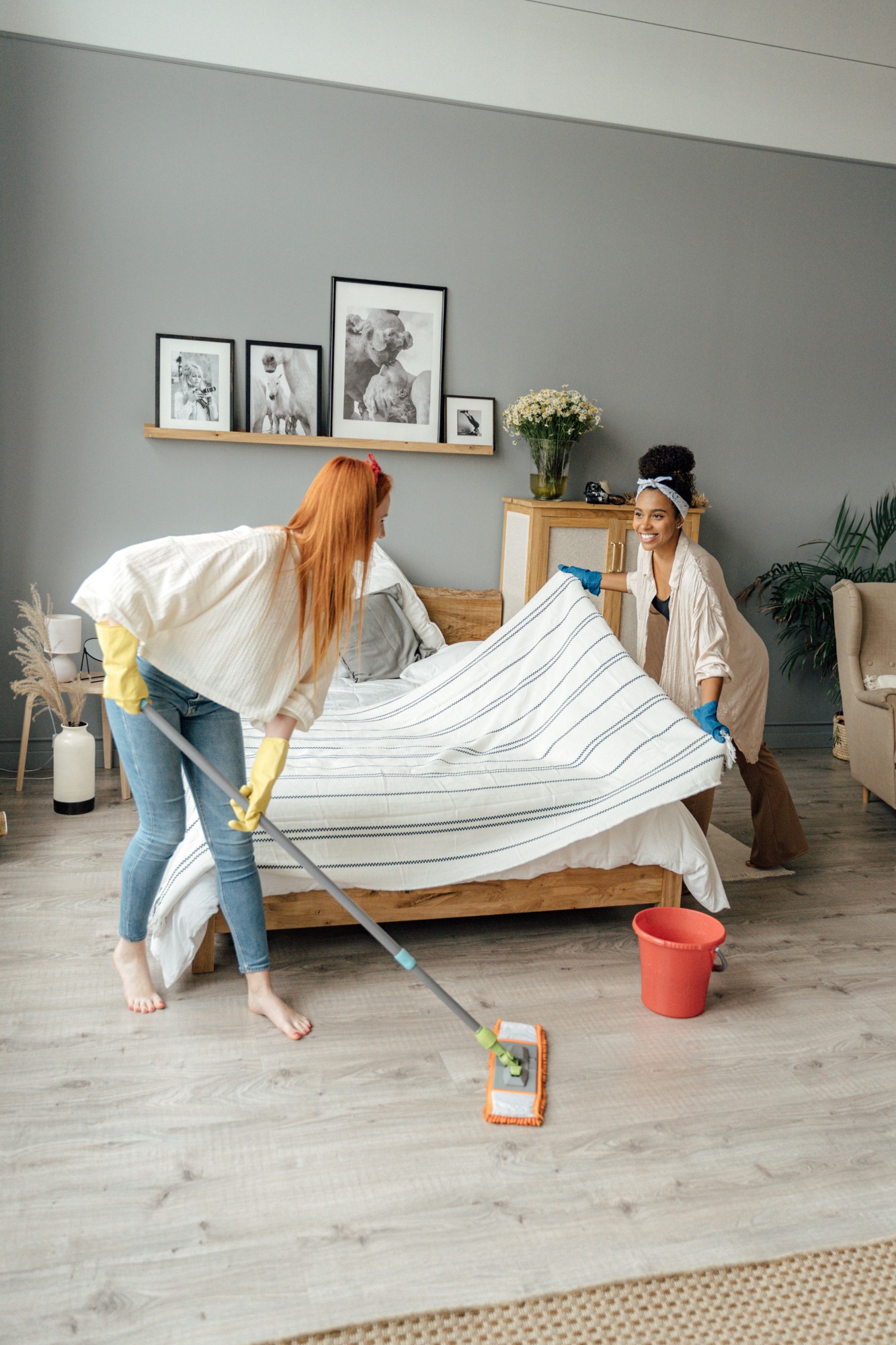 Standard Cleaning